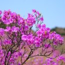 아름상복 이미지
