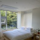 글리제977 이미지