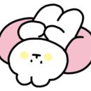 바보돼지두마리