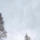 농도원1길 이미지