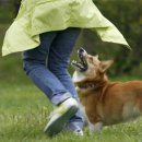 위즈덴탈 이미지