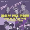 주식회사 라이브솔루션 | 강북구 극장 행사대행 대관 시설의 한계를 넘은 인디 콘서트 음향렌탈 후기 (라이브 인디 콘서트)