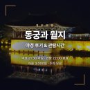 일원본-102 | [경주] 🌙 동궁과 월지 야경 후기, 주차·관람시간 @202607