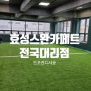 대덕동체육시설 풋살장 | 실내풋살장 사계절 푸른 인조잔디 견적과 시공후기 관리팁