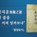 대도교육