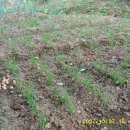 다락골농장 이미지