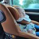 모모 파크 이미지