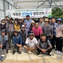 선진농장 이미지