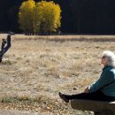 해피데이즈 이미지