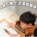 책으로 떠나는 세계 나라 놀이 | 인천곤충박물관 인천실내박물관 와일드벅스 곤충탐험대 2번째 방문 후기
