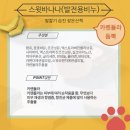 민두부