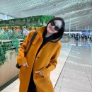 밝은안경21 이미지