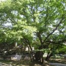 호평동 현대 I-PARK 이미지