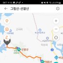 비금