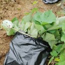 주산면사무소 이미지