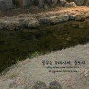 족발야시장부천