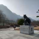 ⛰️설악산 봉정암 당일치기 이미지