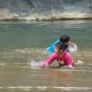 낙동초교 이미지