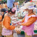 과일사요야채사요 - 북구 효열로 221 | 과일사요야채사요