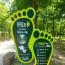 해도근린공원 이미지