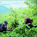 7월 셋째주 번개 산행 공지 (강원 홍천 약수봉) 이미지