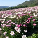 전남생약농업 협동조합 이미지