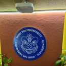 꿍시파차이 이미지