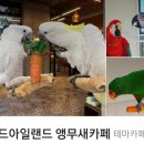 신신호텔제주시티 이미지