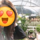 가연농장 이미지