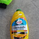 평택셀세모 이미지