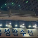 유성왕수산
