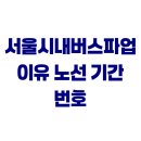 전국자동차노동조합연맹 경기도지역 버스 | 서울시내버스파업 이유 노선 기간 번호