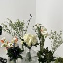 바이크크크 | 플랜무드니 대전웨딩플래너의 스튜디오 동행후기 : 바이지니스튜디오