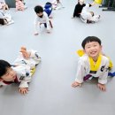 인성품태권도장 이미지