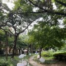 조각공원앞 1 이미지