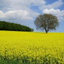 일상의 풍경+마음의 풍경 이미지