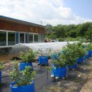 김영근 농장 이미지