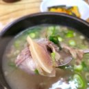 소머리국밥 Daum카페