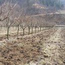 한울농장 2 이미지