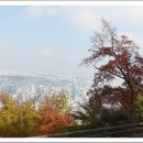 남산로 이미지