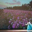 예천군문화회관 이미지