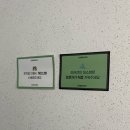 댕댕이 카페 | 대구 루프탑 운동장있는 댕댕이 천국 애견카페 강새이 다녀온 후기
