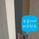 당산로 36길 이미지