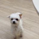 금산로 | 금손이 아니어도 괜찮아요! 산본 달문이 공방에서 힐링하고 온 후기