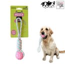 덴탈투유 이미지