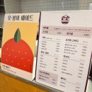 도카 | [도카롱 포레스트리솜점] 포레스트리솜 내 카페 도카롱 솔직후기 (내돈내산)