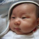 민성 Daum카페