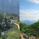 그랜드다방 | 하이원리조트 그랜드호텔 메인타워 후기 팁