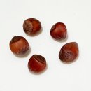 김종열농장 이미지