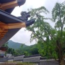 가야호텔 청화산한옥풀빌라 이미지